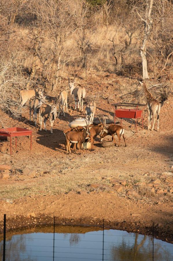 Tholo Manzi Private Game Farm Βίλα Zeerust Εξωτερικό φωτογραφία