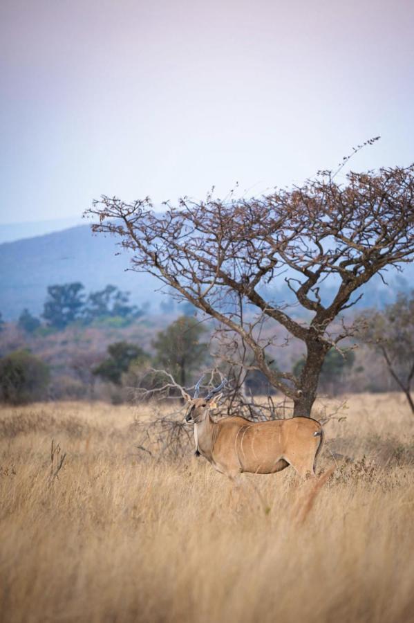 Tholo Manzi Private Game Farm Βίλα Zeerust Εξωτερικό φωτογραφία